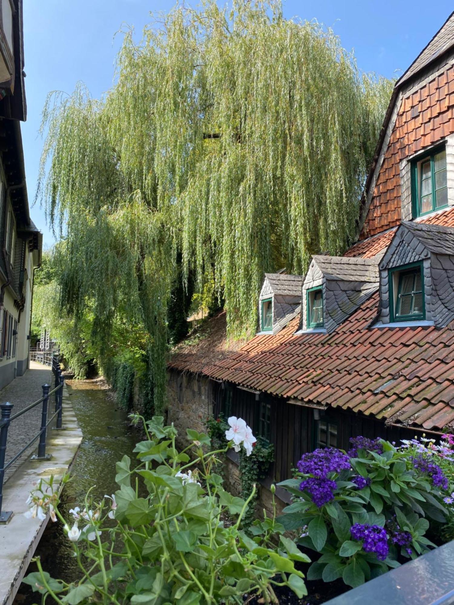 Fewo Georgenberg Goslar Zewnętrze zdjęcie