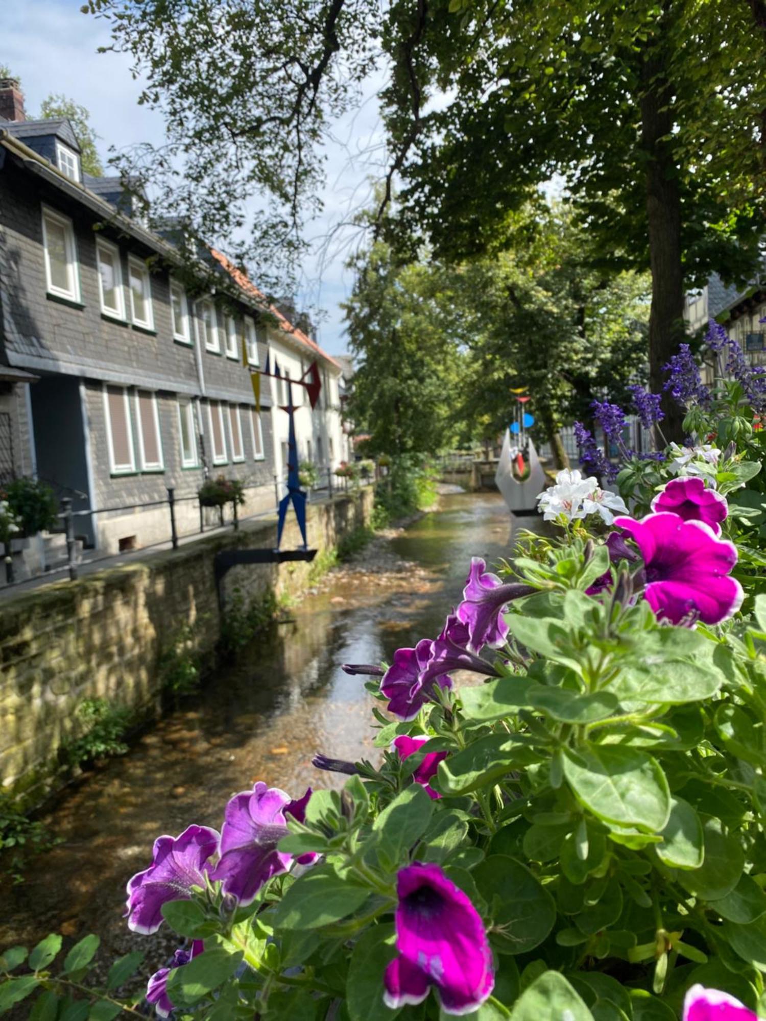 Fewo Georgenberg Goslar Zewnętrze zdjęcie