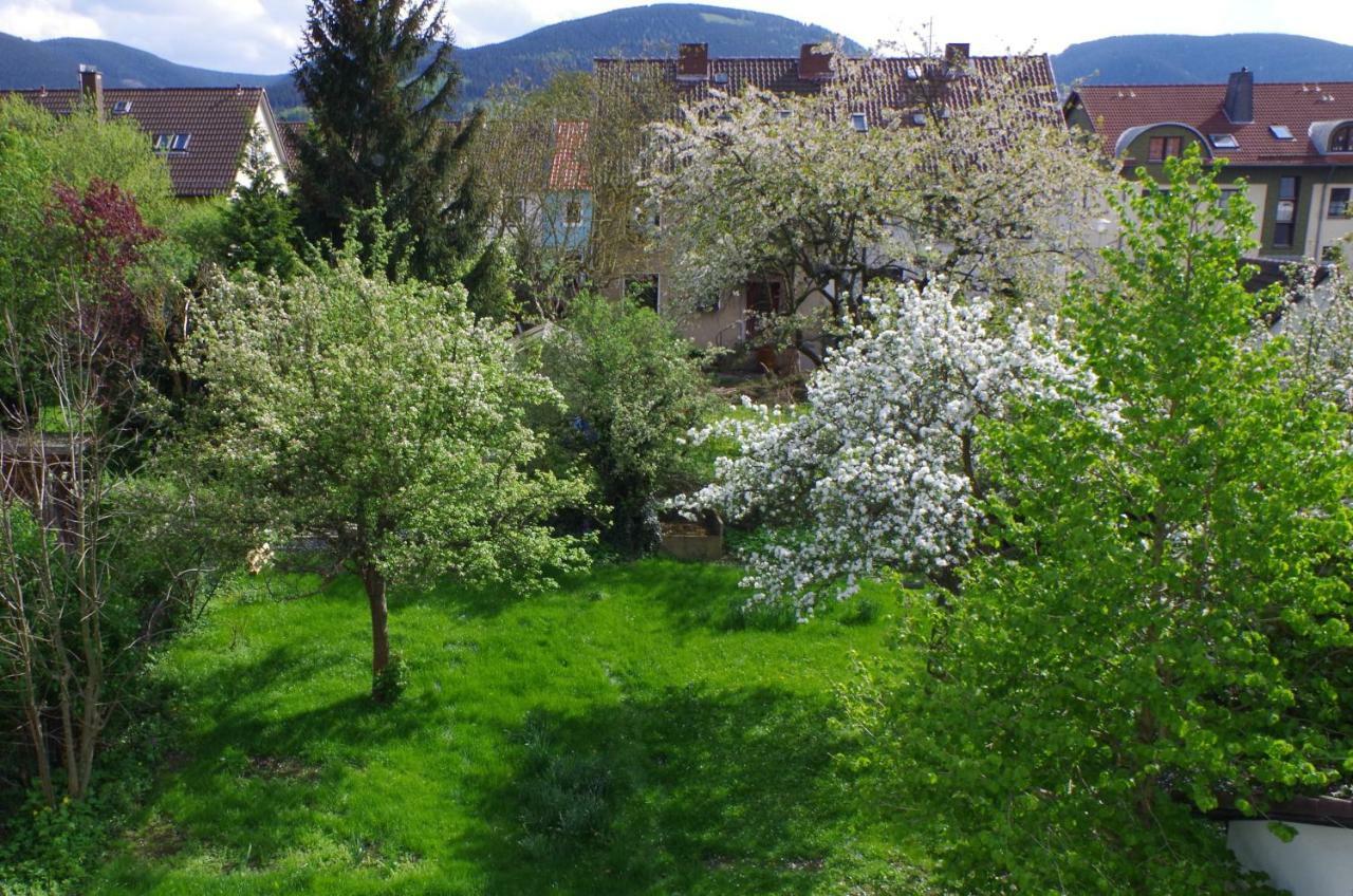 Fewo Georgenberg Goslar Zewnętrze zdjęcie